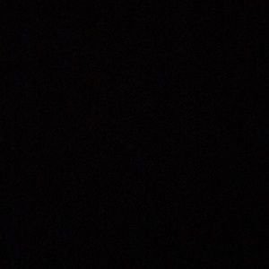 Meet your Posher, Leonardo